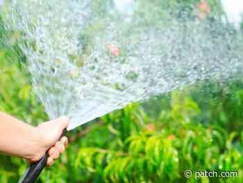 How Much You Should Pay For Yard Work Services In Rhode Island - Patch.com