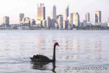 Haalt corona ook artificiële intelligentie onderuit?
