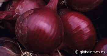 Red onions from the U.S. could contain salmonella, health officials warn