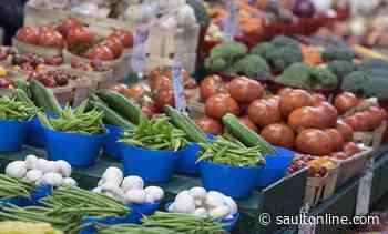 Shop, Taste, Experience Local and WIN