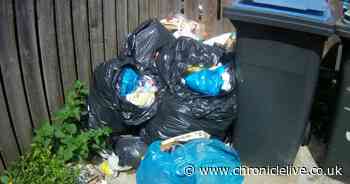 Four homes in Durham handed £4,000 fine for failing to clear garden rubbish