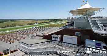 Pilot sports events postponed to avoid further spike in coronavirus infections