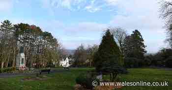 Dog owners warned of poisoned sausages being dropped at Swansea park