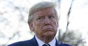 Trump suggests delaying 2020 election