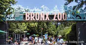 Zoo officials apologize for display of African man in 1906