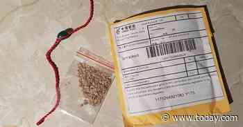 People are getting mystery seed packets from China in the mail. Officials say don’t plant them
