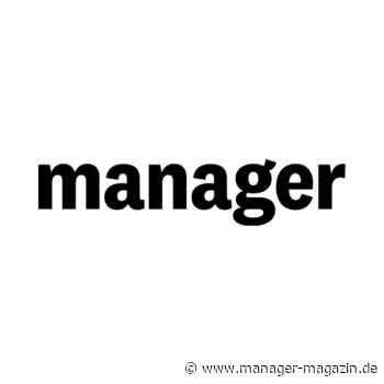 Leadership: Die sieben Typen von Managern