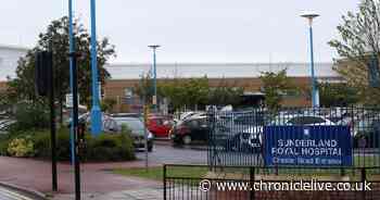 Young girl treated in hospital after being knocked from horse during car chase