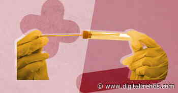 Fauci ‘cautiously optimistic’ we will have a coronavirus vaccine this year