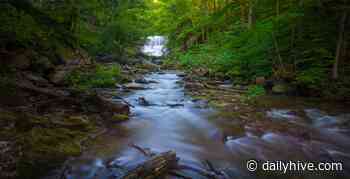 10 waterfalls Toronto you need to check out this summer (PHOTOS) | Etcetera - Daily Hive
