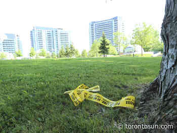 GOLDSTEIN: Toronto's gang crisis and the racism of low expectations - Toronto Sun