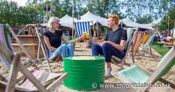 Beach boxes and outdoor cinemas to help save Newcastle's post-Covid summer