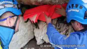 Cocker spaniel recused after falling off Co Antrim clifftop
