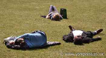 Temperatures soar to 32C in York today