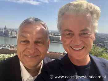 Kijk dan: hypocriete Geert Wilders pakt graaiend Italië aan, maar laat zich fêteren door Hongaarse graaier Orbàn - De Dagelijkse Standaard