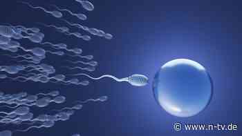 300 Jahre alte Annahme widerlegt: Spermien bewegen sich nicht wie Aale