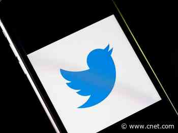 Tampa teen charged over massive Twitter hack     - CNET