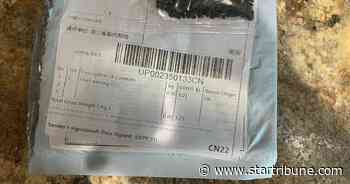 Mystery seeds in the mail may be part of a 'brushing scam'