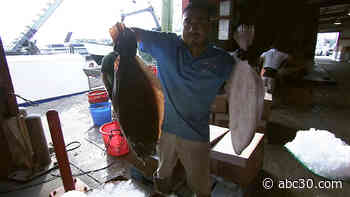 This seafood market is helping fishermen affected by the pandemic