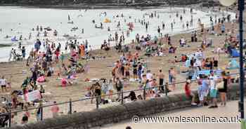 Police seize 'lots of alcohol from youths' as hundreds head to Barry Island
