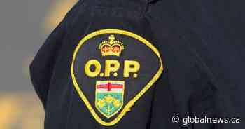 Human remains found in Lake Erie identified as Brantford, Ont., resident: OPP