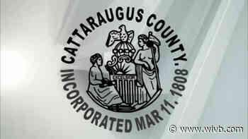 Cattaraugus County Department of Health looking for dog that bit 11-year-old