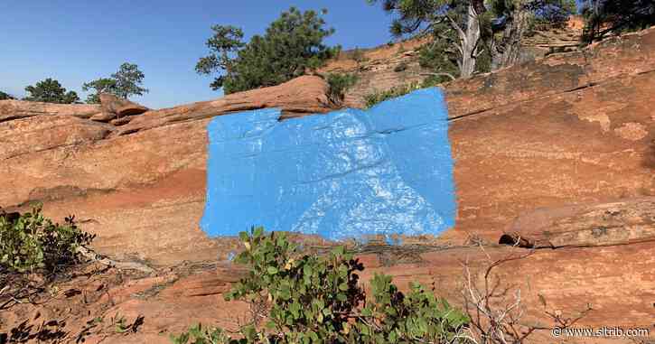 Zion National Park rangers looking for vandals who painted rocks blue