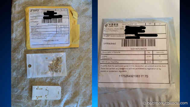 Mysterious Seeds To People Across US, Including Maryland, Likely Part Of ‘Brushing Scam,’ USDA Says