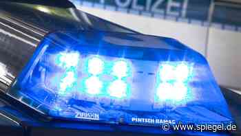 Hamburg: Polizei findet bei mutmaßlichen Geldwäschern 1,3 Millionen Euro in bar - DER SPIEGEL