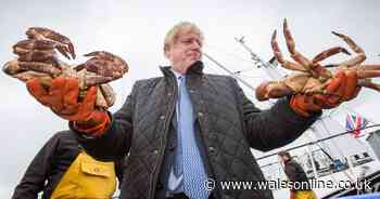 Will today's political whirlwind lead to Britain's break-up? | Laura McAllister