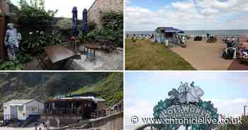 Hidden gems along the North Tyneside coast and what visitors can expect to see