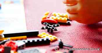 'Hidden LEGO' worth hundreds of pounds to UK households