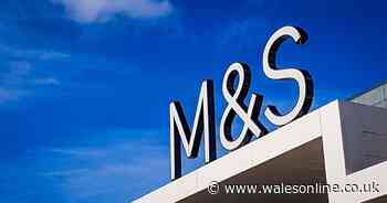 M&S reopens 102 cafés with incredible Eat Out to Help Out prices