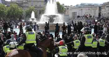 Public disorder could 'overwhelm' attempts to control coronavirus