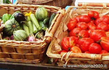 Il mercato contadino di Carpi torna nell'ex-foro boario - Modena 2000