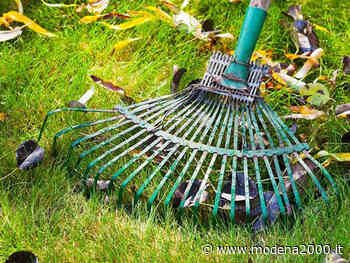 Domenica di pulizie nei parchi di Cavriago - Modena 2000