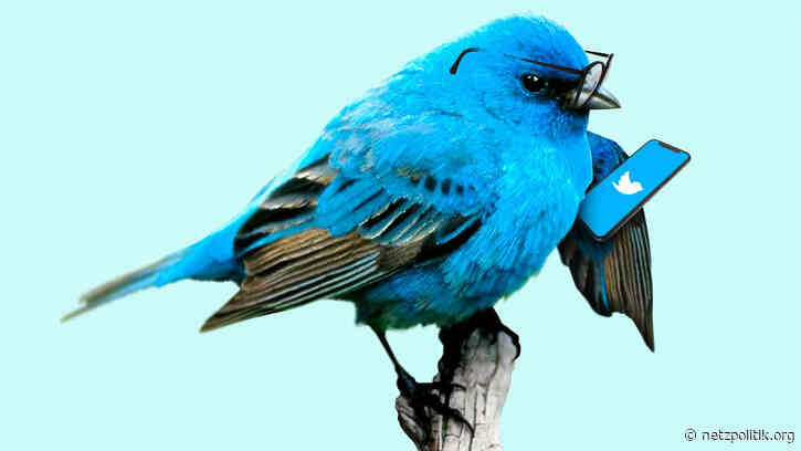 Bitcoin-Scam: 17-jähriger Verdächtiger wegen Twitter-Hack festgenommen