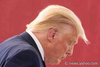 Republicans dismiss Trump's suggestion to postpone November election