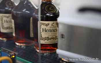 Le cognac Hennessy toujours rentable, malgré la crise - Sud Ouest