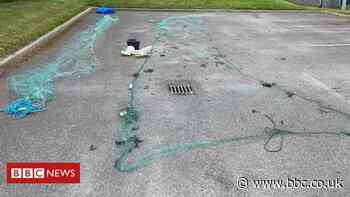 Illegal fishing nets uncovered in River Wear