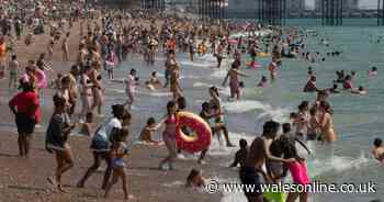 Fears over 'unmanageable' beaches as UK public head for coast