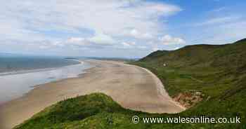 Live updates as person in hospital after glider crashes in field