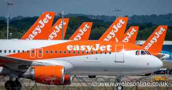 This is the full list of flights easyJet, Ryanair, TUI and Jet2 have cancelled