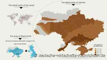 Internationale Agrar-Konzerne wetteifern um fruchtbare „Schwarzerde“ der Ukraine
