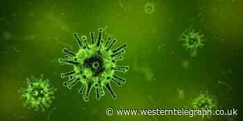 One new coronavirus case in Hywel Dda - Western Telegraph