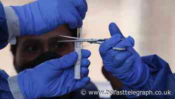 Mexico virus death toll world’s third highest as storm could hinder US response