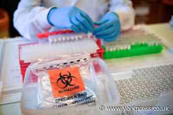 No new confirmed cases of coronavirus in York area - York Press