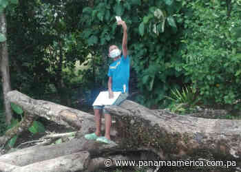 Estudiantes de Santa Rosa en Palenque no tienen acceso al wifi de la escuela - Panamá América