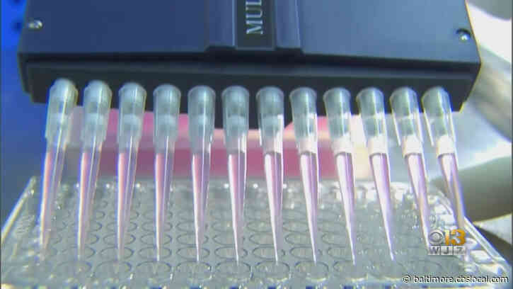 Maryland Says All 24 Jurisdictions Hit 10% Virus Test Goal