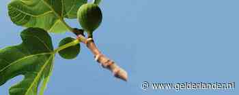 Moest ik haar tegenhouden? Dan kennen jullie mijn moeder niet